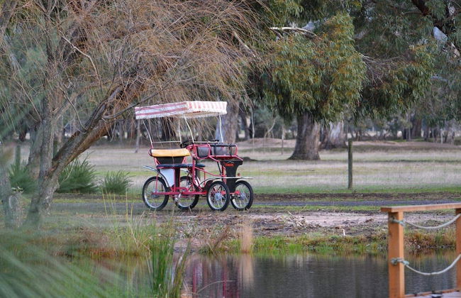 Halls Haven Holiday Units - Foto 31