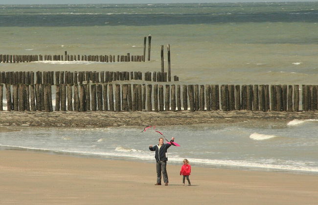 Dike House in Schoondijke Near Beaches - Photo 32