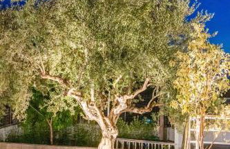 THEA Seaview Luxury Living - Foto 55