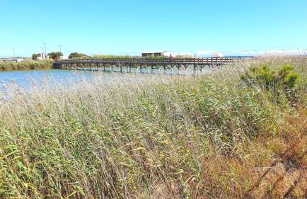 Cantinho do Mocho - Villa com piscina centro do Algarve - Foto 38