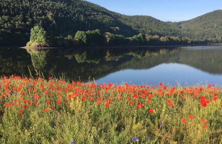 Ferienhaus Hankel - Foto 30