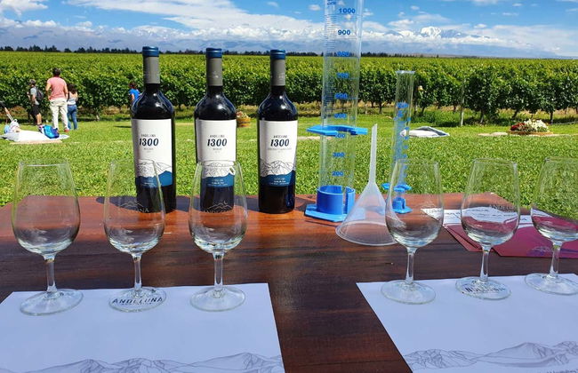 Tour pelo norte da região vitivinícola do Vale do Uco - Foto 9