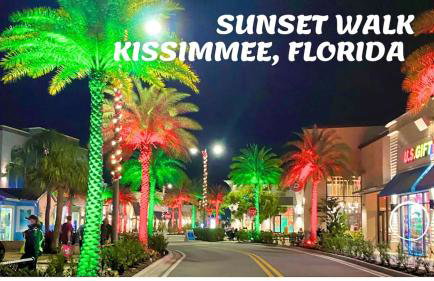 Spacious Disney Retreat Lake View Private Pool - Foto 6