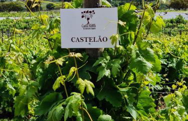 Herdade das Castas Nobres - Foto 69