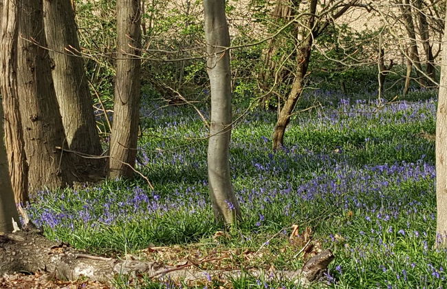 Inviting 2 Bedroom Barn Conversion, Rural Norfolk - Foto 22