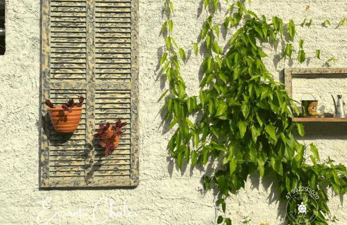 Encanto Chalés – 150m da Praia Grande – Penha – SC - Foto 5