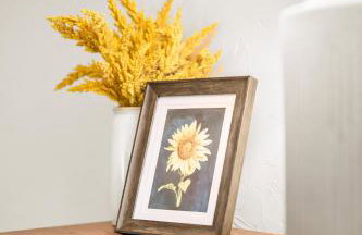 Finnwood - A Pet Friendly Woodland Retreat - Foto 24