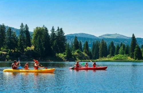 Le Flocon, Joli Cocon 4 pers avec Cheminée, LES ROUSSES, Draps inclus & Parking gratuit - Foto 38