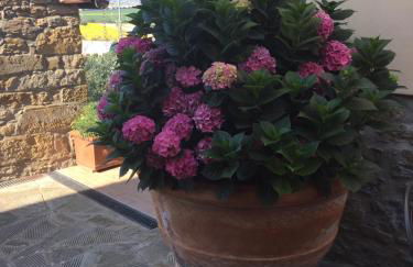 Agriturismo Borgo tra gli Olivi - Foto 55