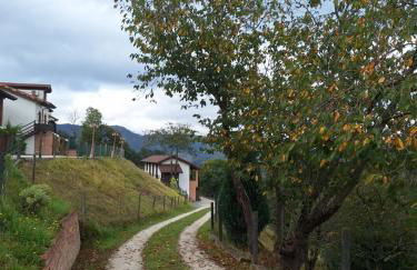 Apartamentos El Llanin - Foto 2