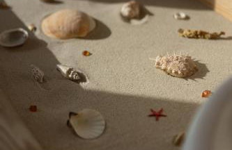 Wilczy Zew Private Spa & Nature - Foto 7