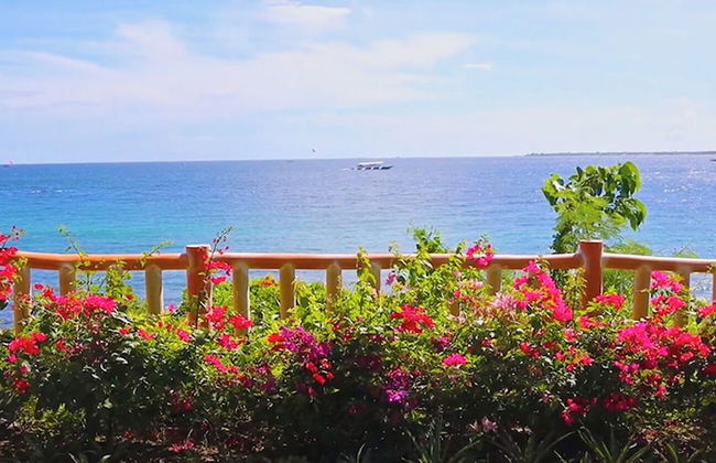 One Manchester Place 1BR Ocean View - Foto 60