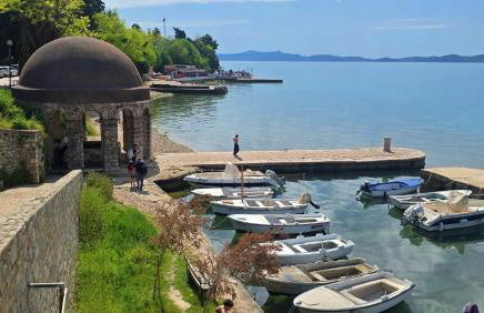 Suzy's botanica - Foto 15