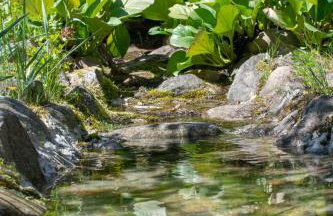 Gospodarstwo agroturystyczne nad jeziorem wśród lasów - Foto 11