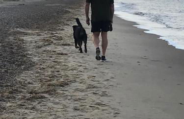 Dragon Chalet 1 , 155 Sunbeach Holiday Village, Scratby - Foto 7