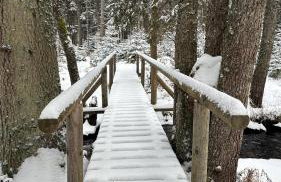 Villa Barka - Foto 59