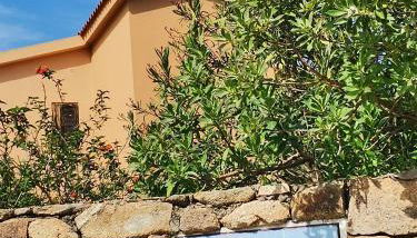 Vacanze da sogno a pochi km. da Olbia - Foto 3