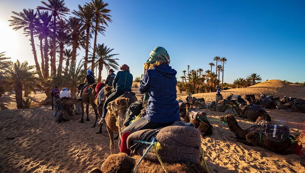 3 Tage von Fes nach Marrakesch Wüste Tour 2 Nächte - Foto 2, Kameltrekking