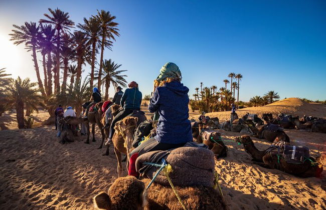 3 Tage von Fes nach Marrakesch Wüste Tour 2 Nächte - Foto 2
