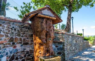 CHALET NEL BOSCO - TENUTA BOCCHINERI - Photo 26