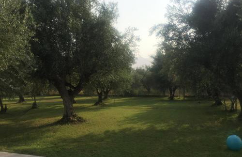 Anastasios Olive Garden Apartments - Foto 46