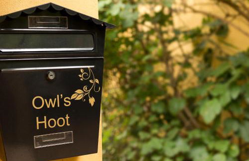 Owl's Hoot - Foto 13