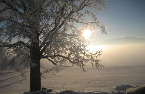 Ferien beim Baur - Foto 18