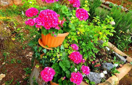 Zgora mora-above the sea-peacefull,family frendly - Foto 36