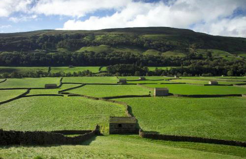 The Traddock - Foto 25