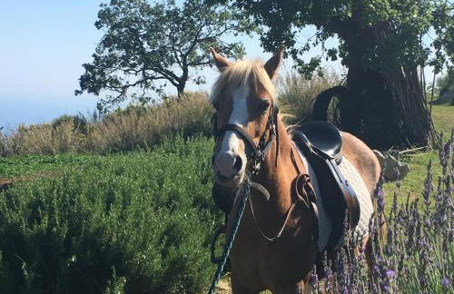 Agriturismo Fattoria Terranova - Foto 116