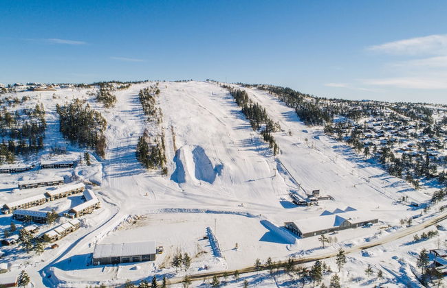 Ski Lodge & Apartments Gautefall - Foto 67