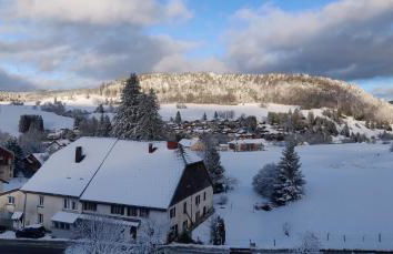 Les Fougères - Foto 27