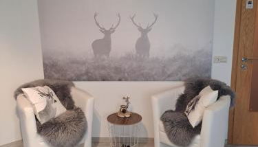 Schwarzwaldmarie - Photo 2