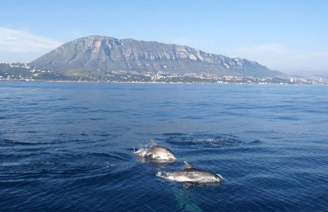 Balade en bateau avec dégustation de moules - Photo 6