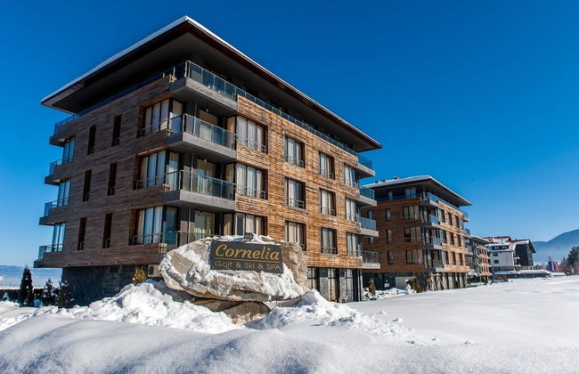 Cornelia Deluxe Residence - Photo 75