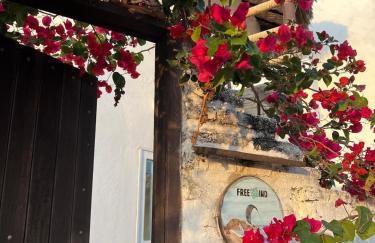 Casa Free Wind Jeri - Foto 15