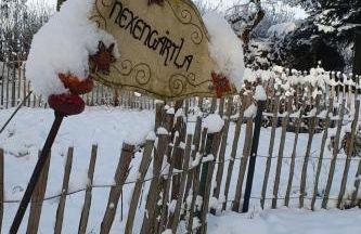 Apartment Landhaus Müritzliebe by Interhome - Foto 15