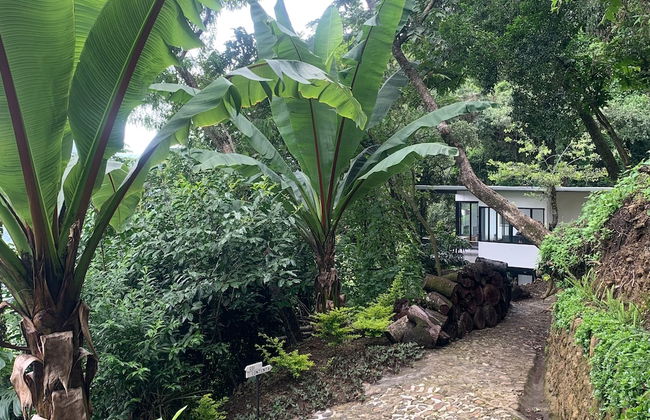 Finca El Tambor - Foto 9