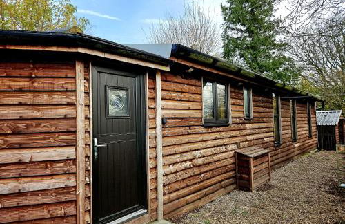 Piglets Place - Photo 40