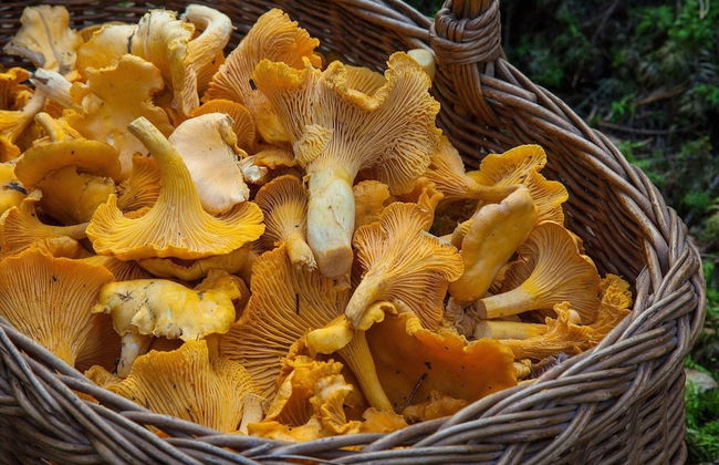 6 Person Holiday Home in Olofstrom-by Traum - Foto 11