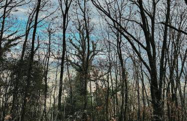 Villa Riverwood - Foto 52