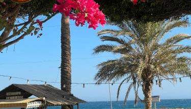 Relax , Sun And Beach - Photo 3