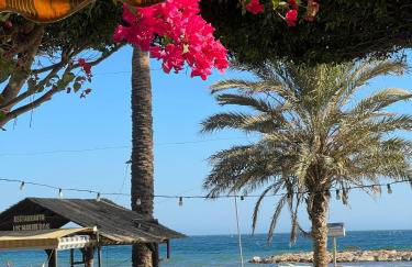 Relax , Sun And Beach - Photo 3