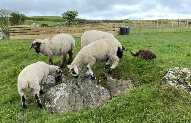 Inviting 2 bed Camper in Holyhead - Photo 23