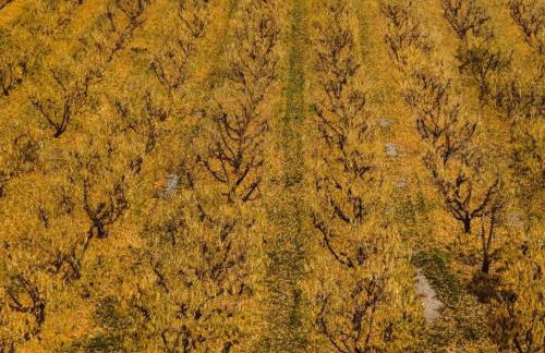 Holiday Home Fraga with Private Pool - Foto 36