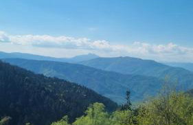 Tsigaridas Mountain Home - Foto 40