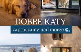 Dobre Kąty całoroczne domki - Foto 19