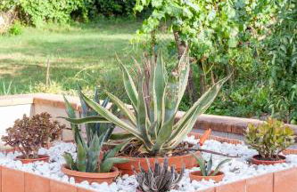 Casa dei Fiori - Photo 25