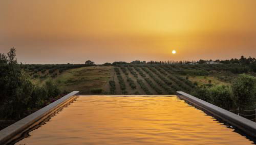 Momentum Wellness Bioresort - Foto 5