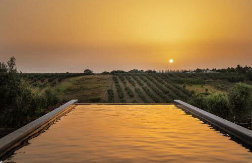 Momentum Wellness Bioresort - Foto 5